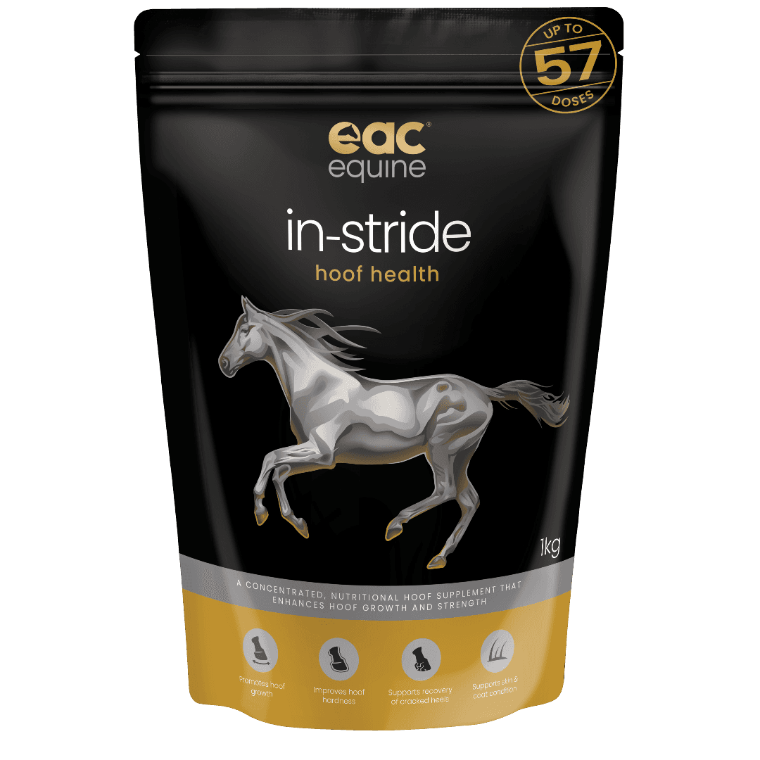 In-Stride Hoof Health Horse Supplement