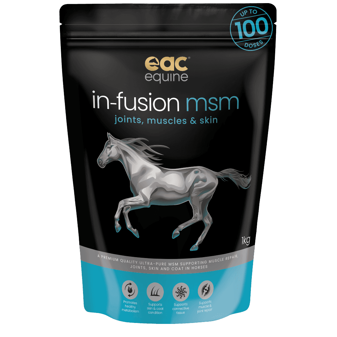 In-Fusion MSM Horse Joint Supplement