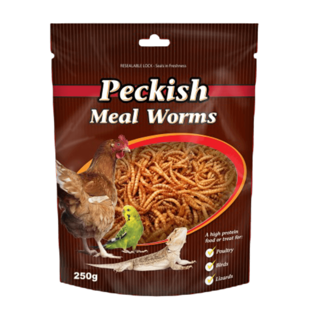 Mealworms For Chickens