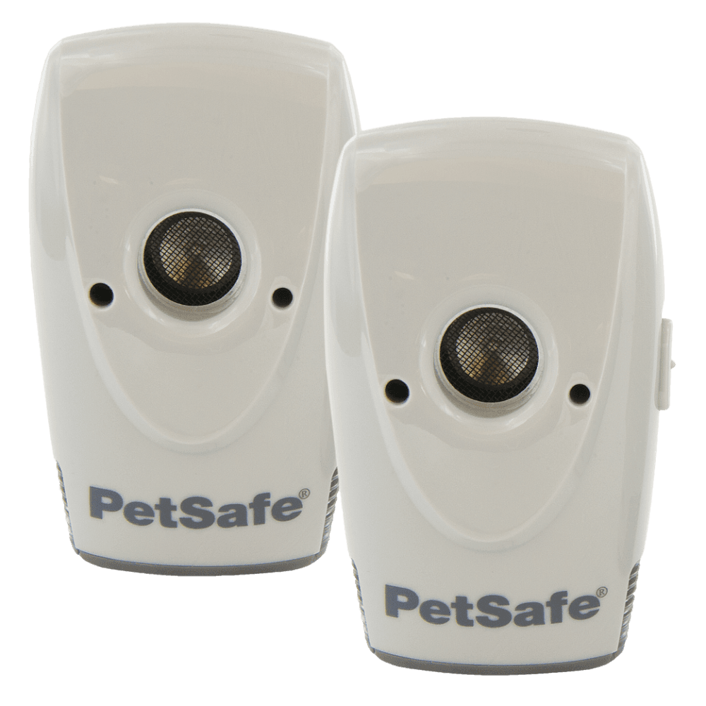 Indoor Bark Control For Dogs