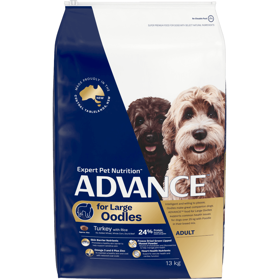 Turkey with Rice Large Oodles Adult Dry Dog Food