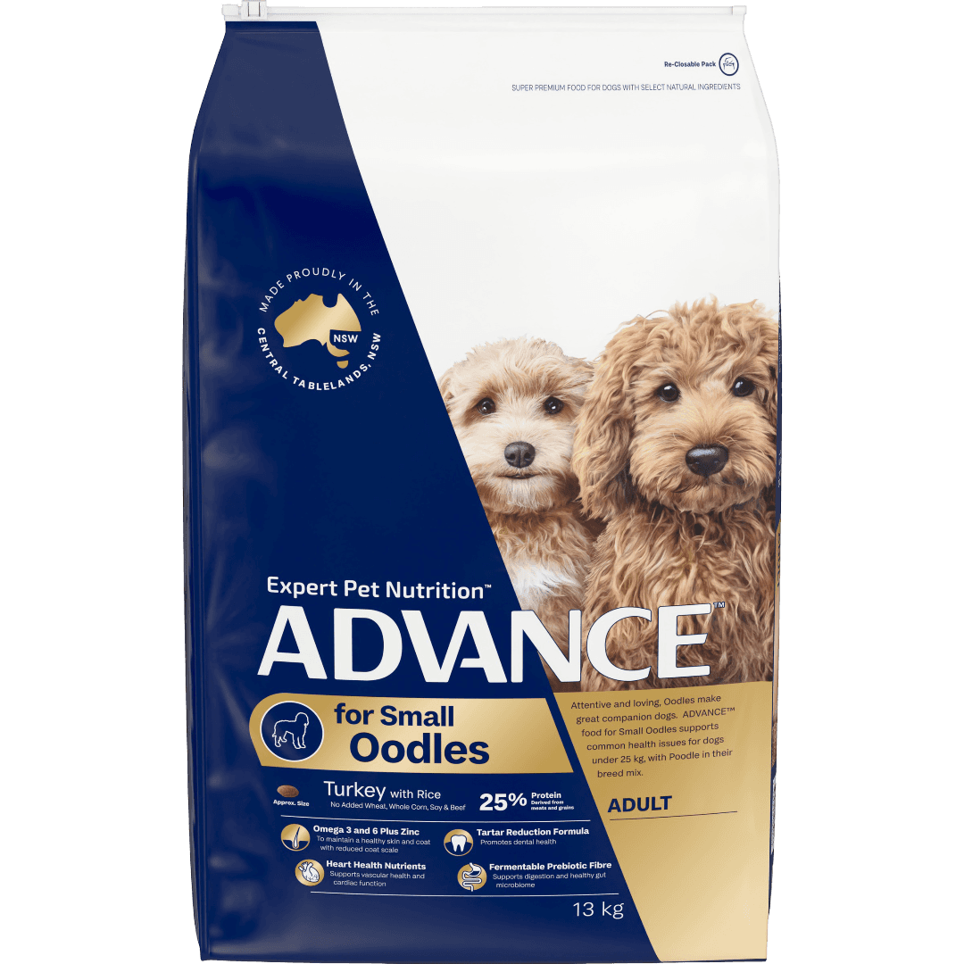 Small Oodles Dry Dog Food Turkey With Rice