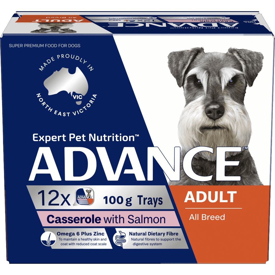 Adult Salmon Wet Dog Food Trays