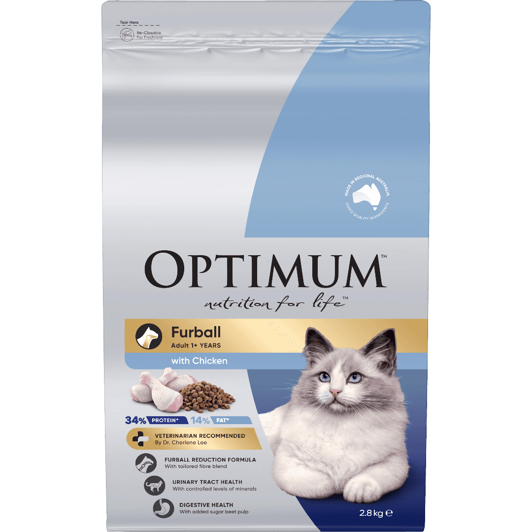 Furball Chicken Adult Dry Cat Food