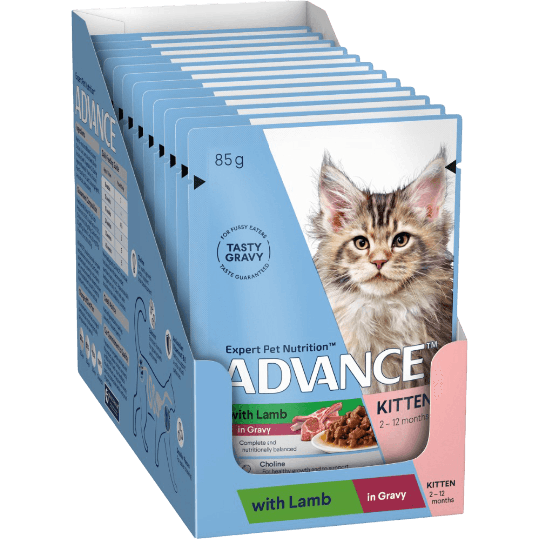 Kitten Lamb In Gravy Wet Cat Food Pouches