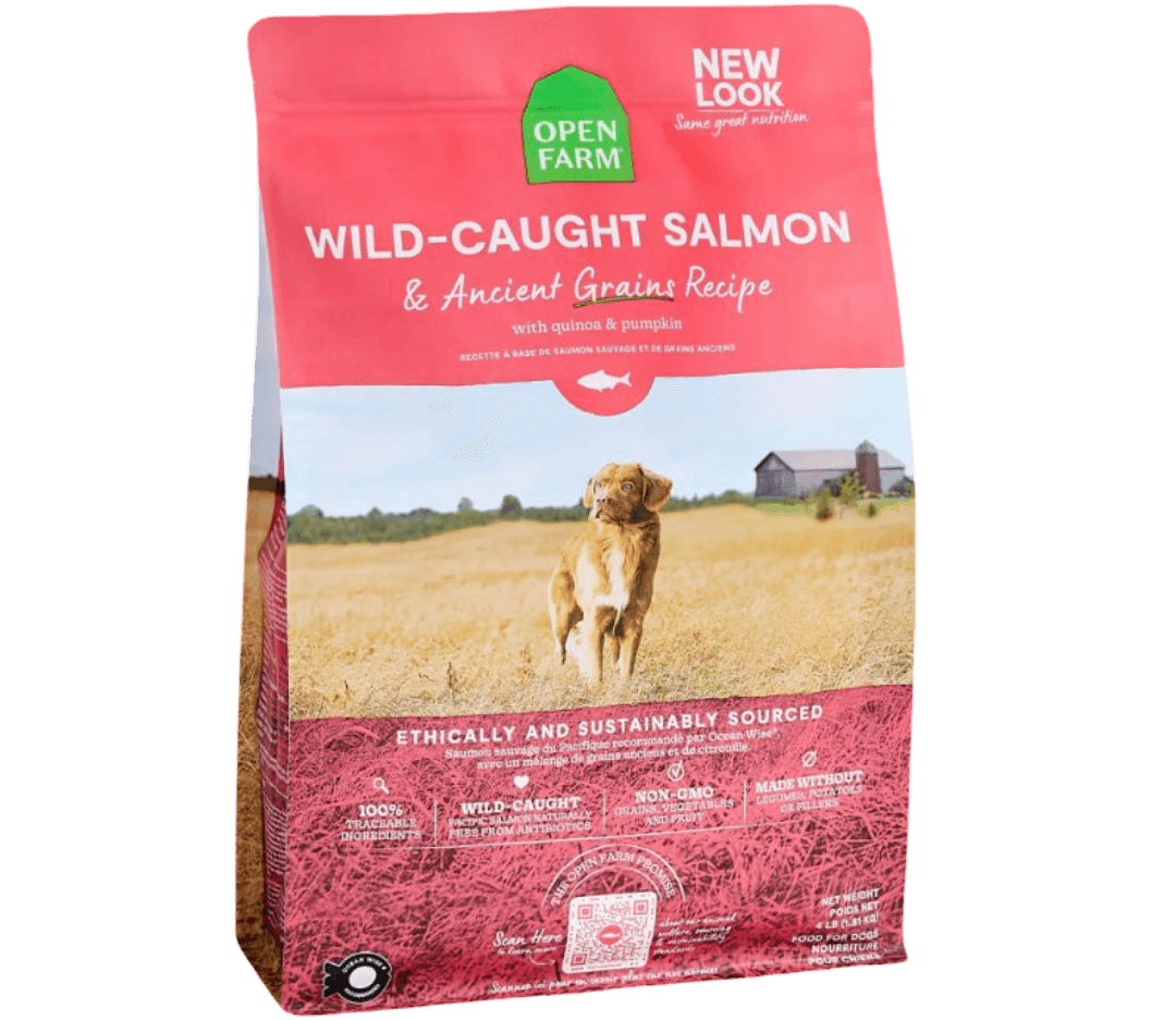 Wild Salmon & Ancient Grain Adult Dry Dog Food