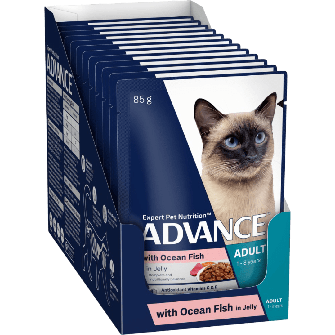 Adult Ocean Fish In Jelly Wet Cat Food Pouches