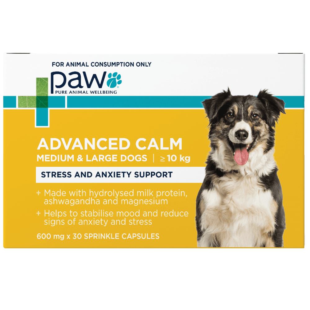 Advanced Calm Stress Anxiety Support Medium Large Dogs