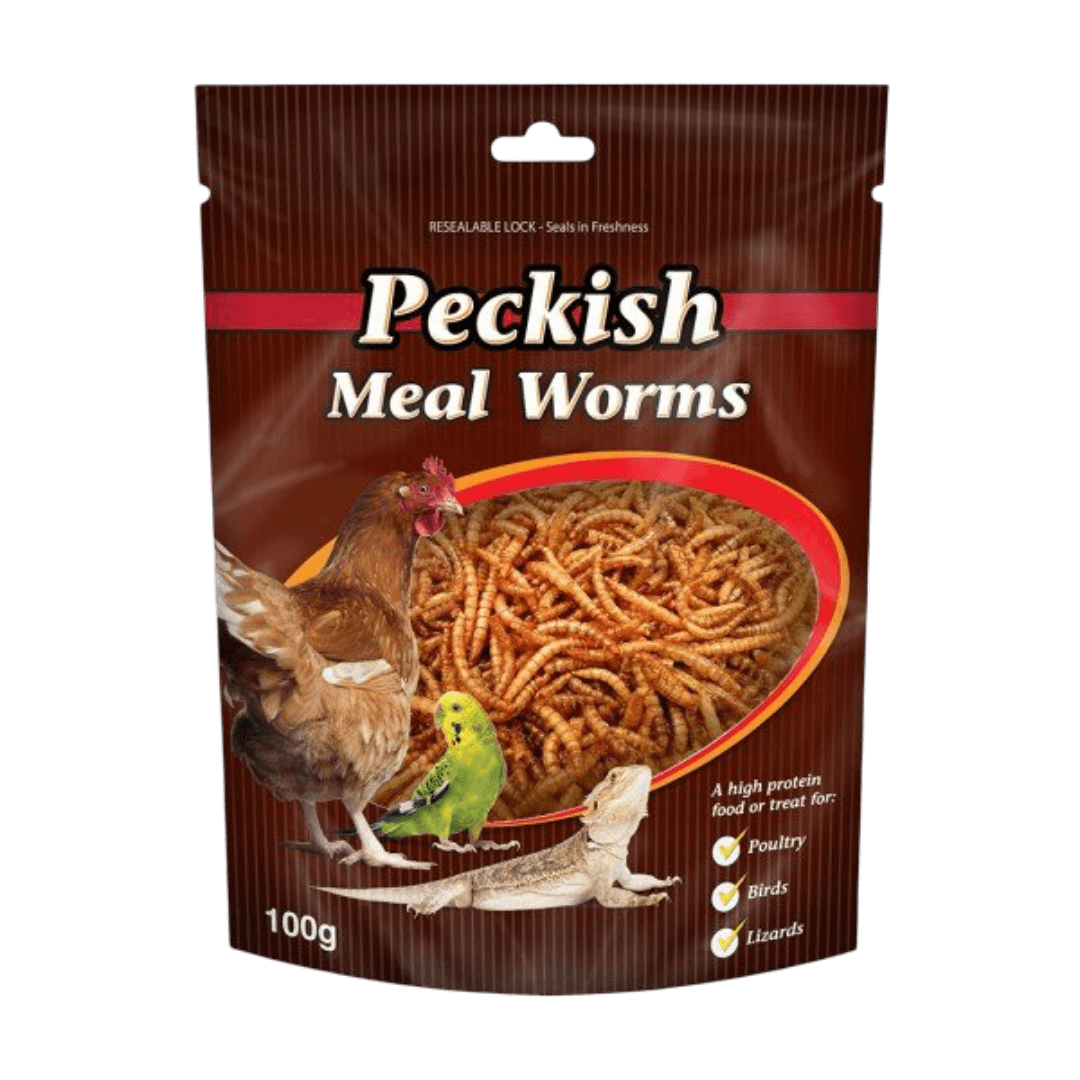 Mealworms For Reptiles And Birds