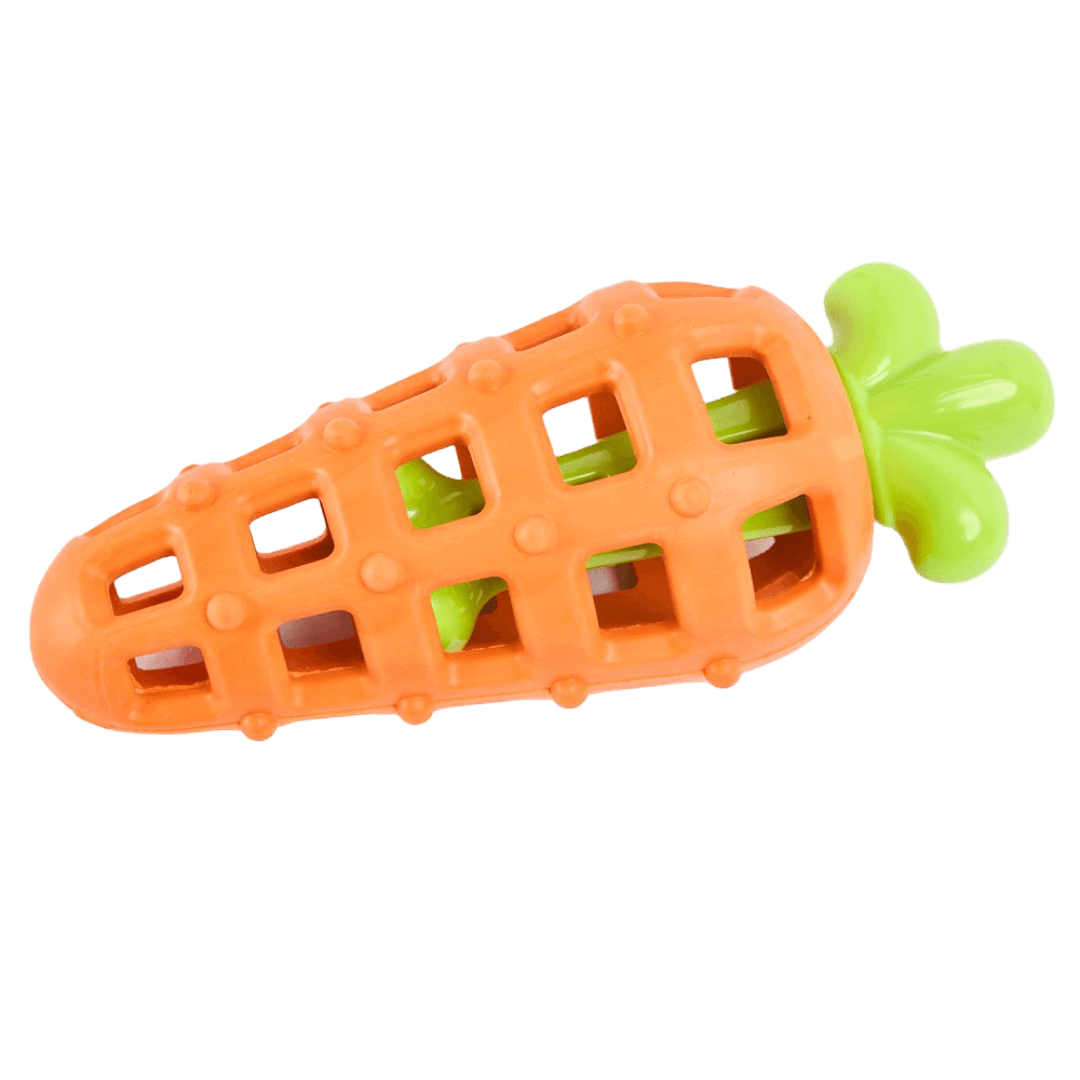 2 in 1 Treat Dispensing Rubber Nylon Carrot Dog Toy