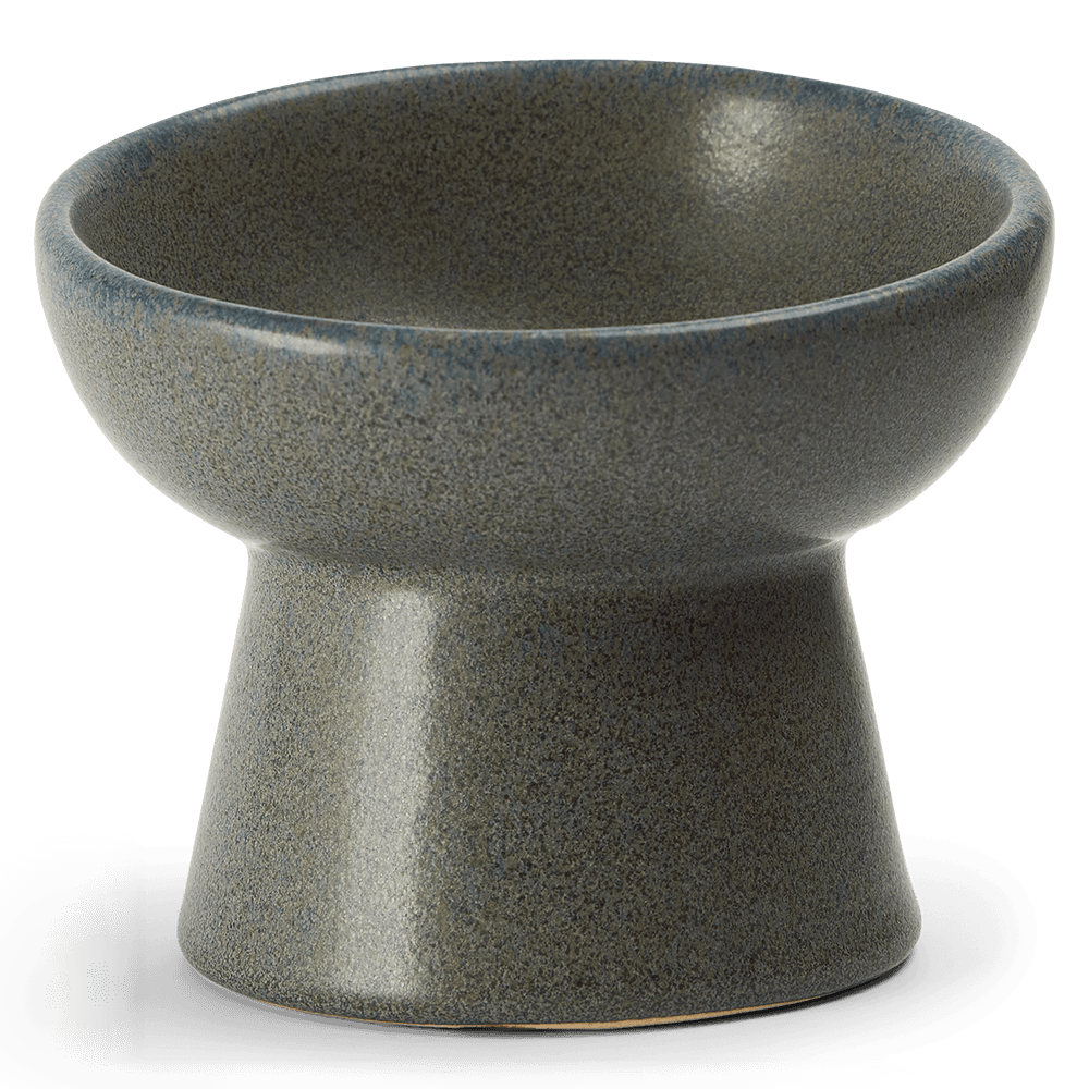 Ergonomic And Elevated Ceramic Pet Bowl Black