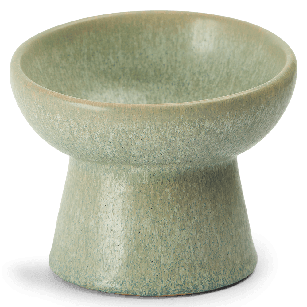 Ergonomic And Elevated Ceramic Pet Bowl Sage