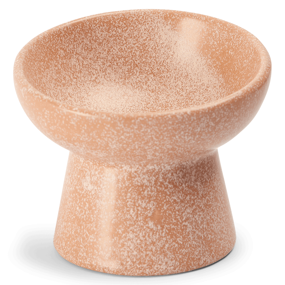 Ergonomic And Elevated Ceramic Pet Bowl in Pink