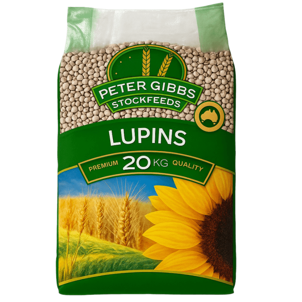 Lupins Whole