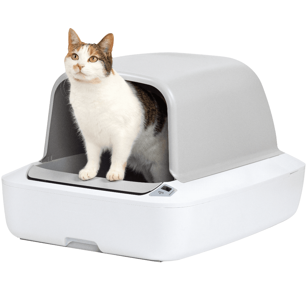 Scoop Free Cleaning Litter Box 2nd Generation