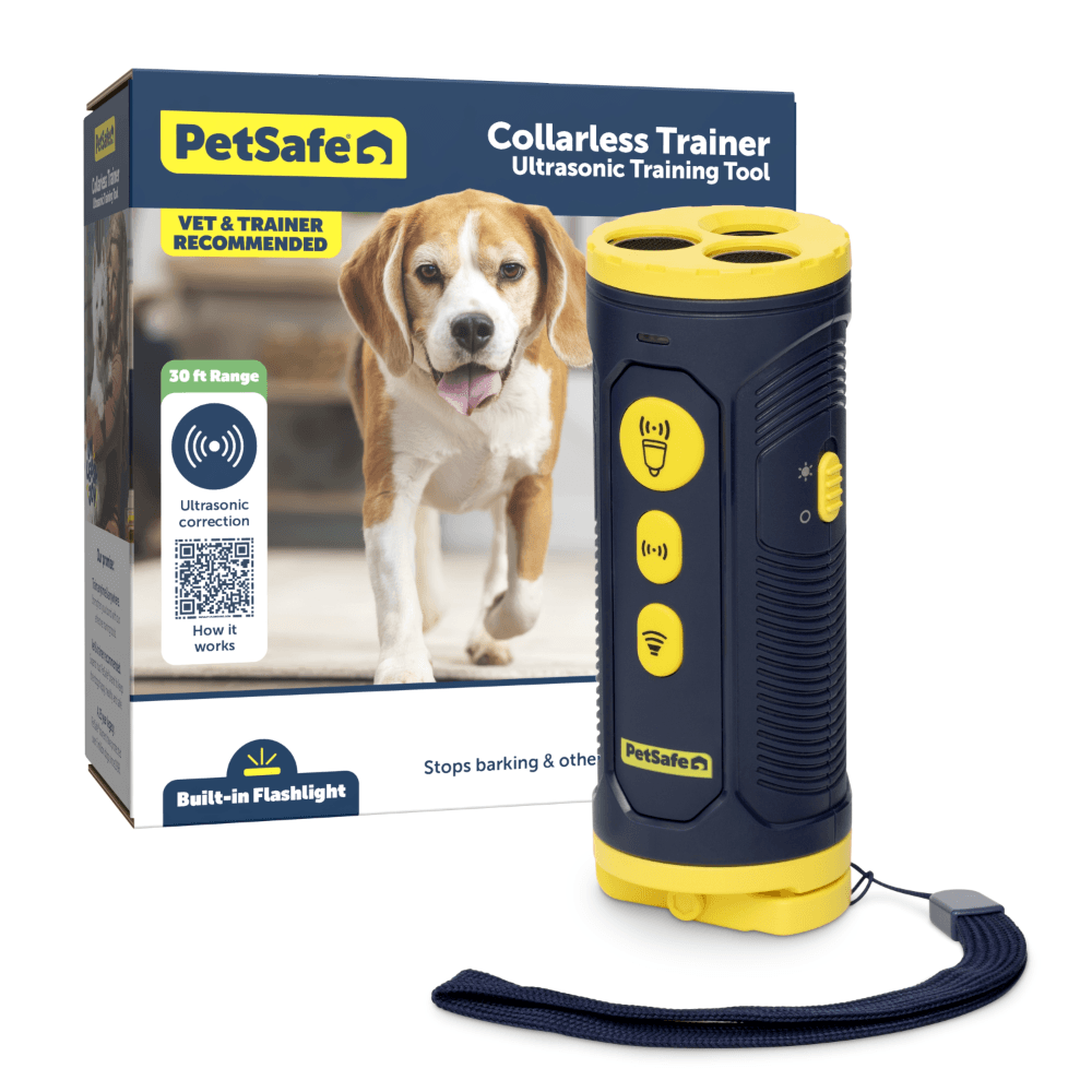 Collarless Trainer Dog