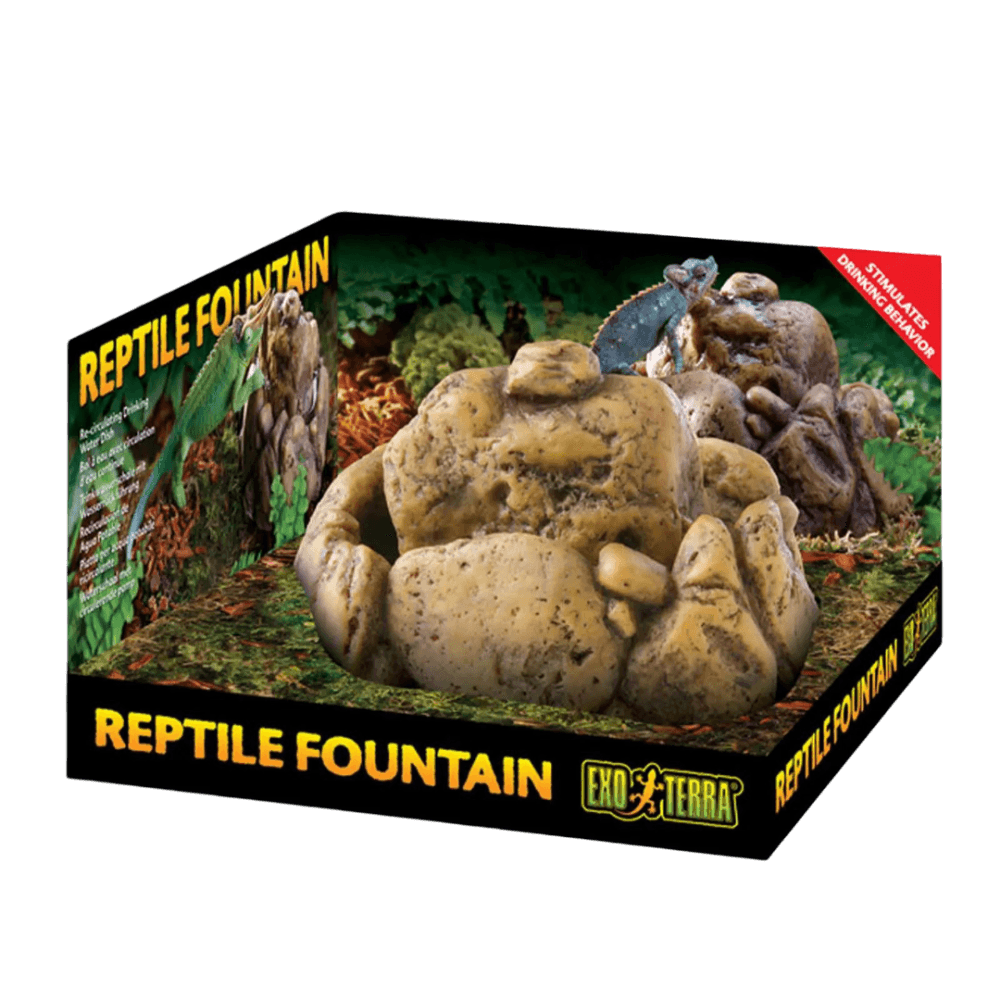 Reptile Fountain