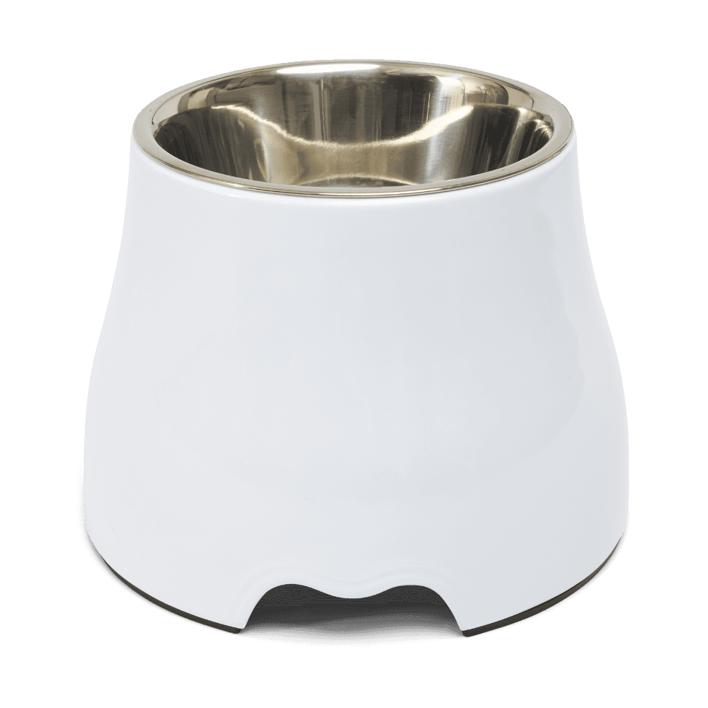 Elevated Dog Bowl White