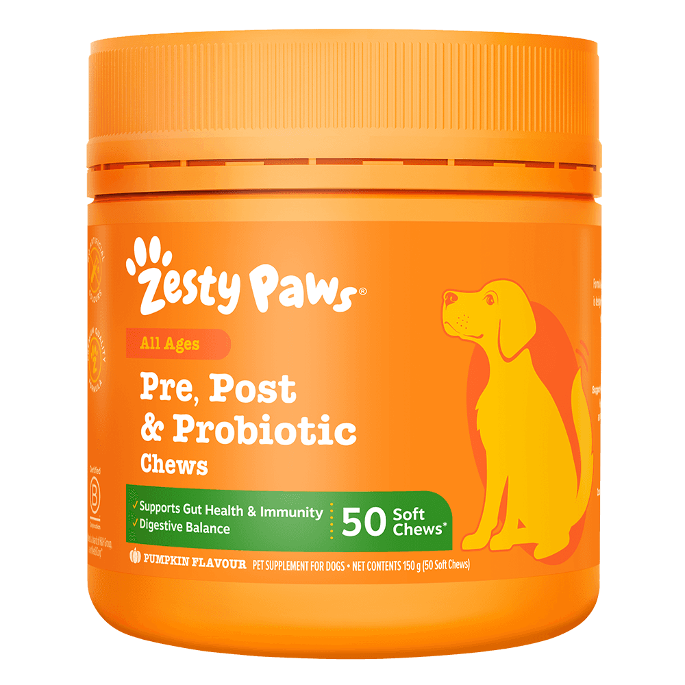 Pre, Post and Probiotic Chews For Dogs