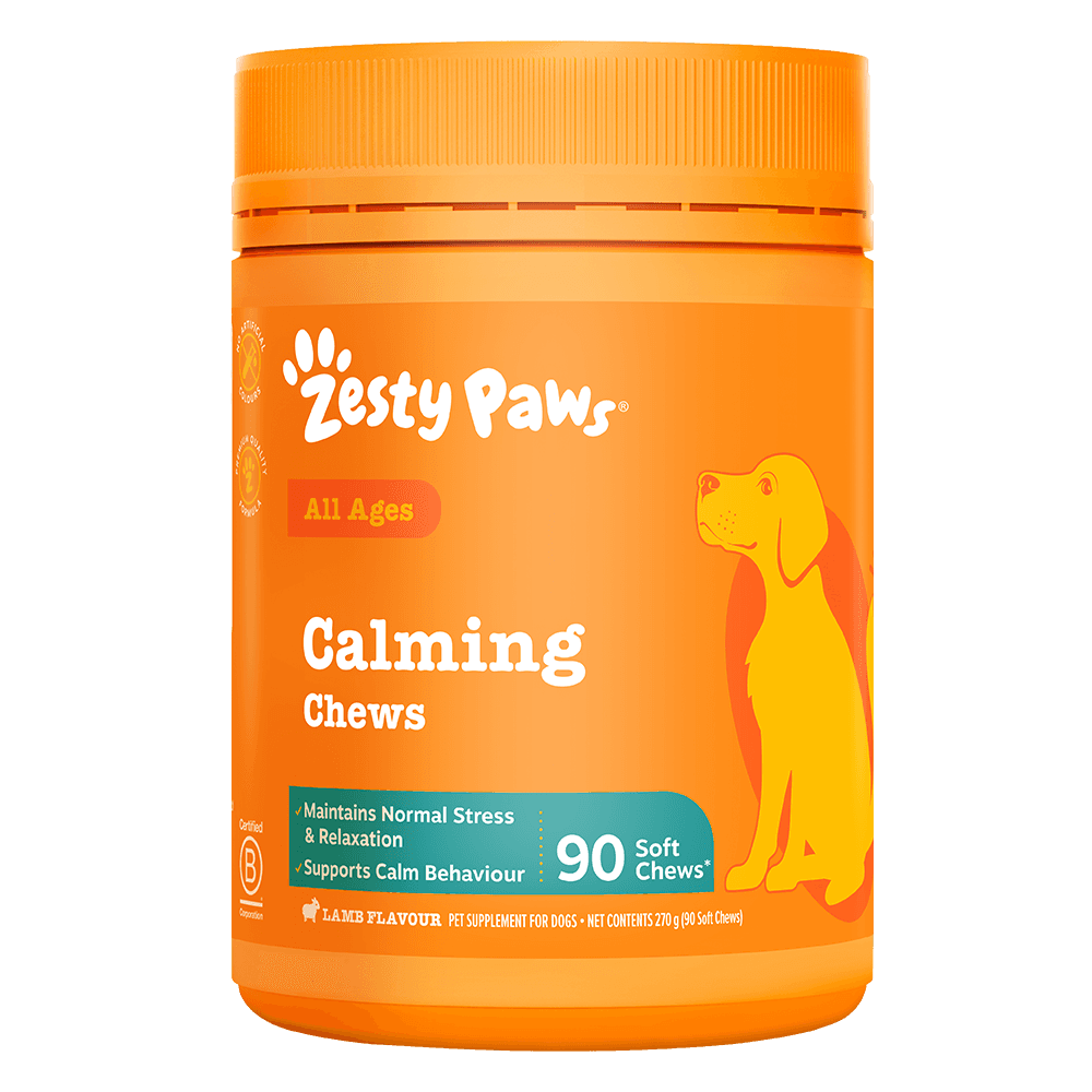 Calming Chews For Dogs