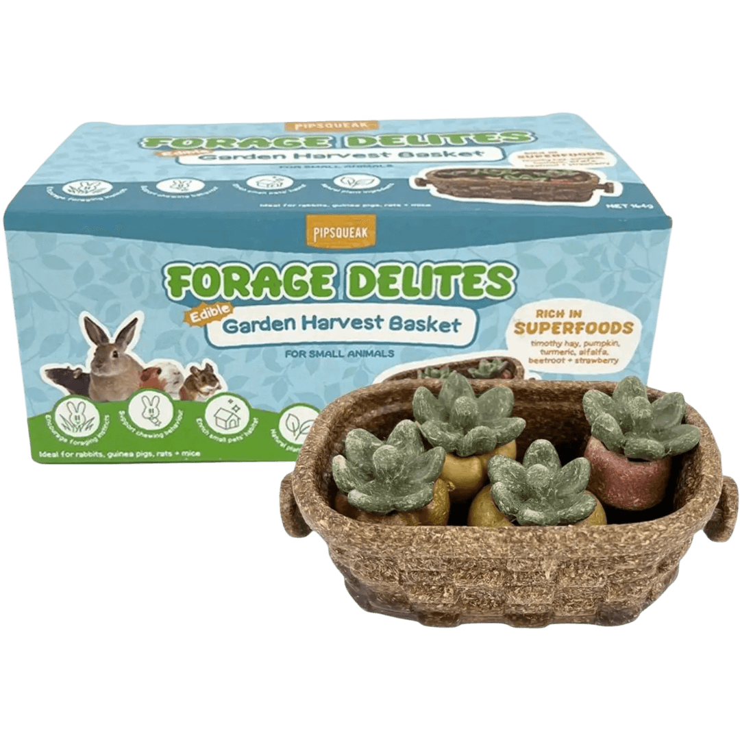 Forage Delites Garden Harvest Basket Small Pet Treat