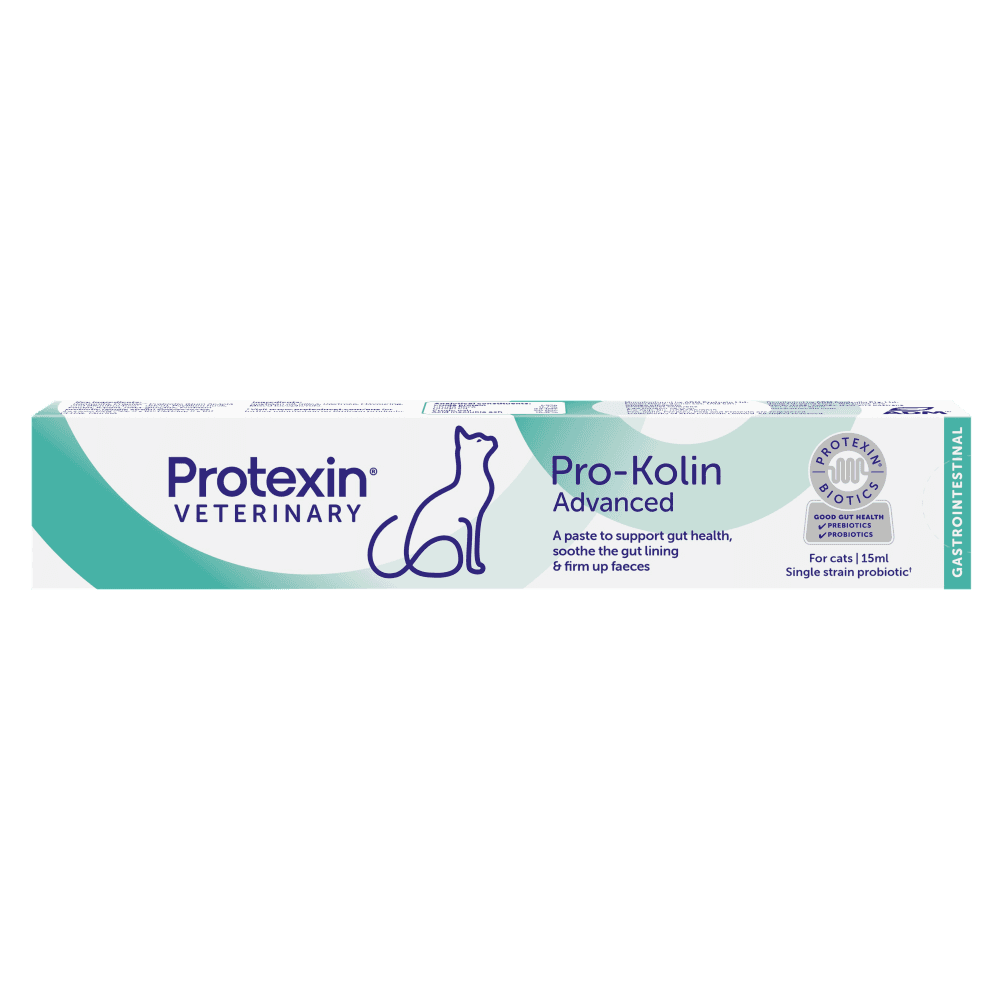 Pro-Kolin Advanced Paste For Cats