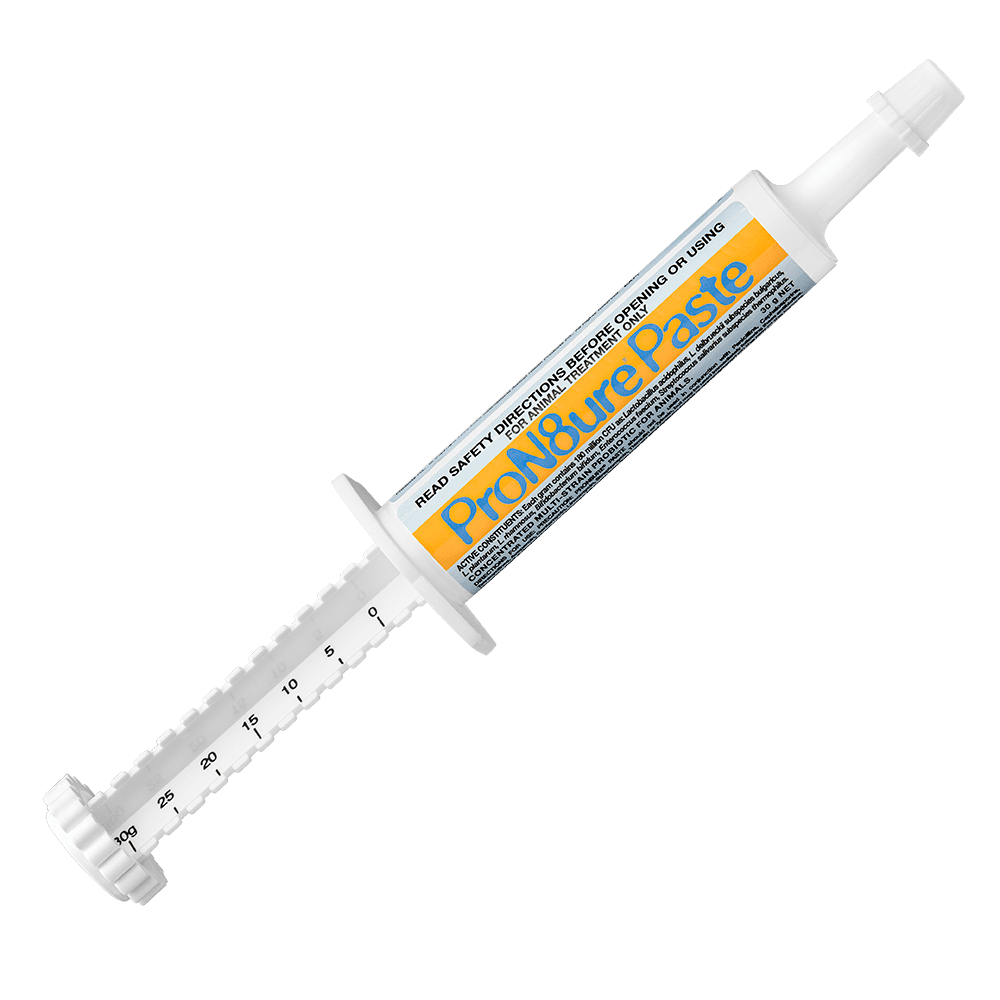 ProN8ure Paste Multi-Strain Probiotic For Animals & Birds