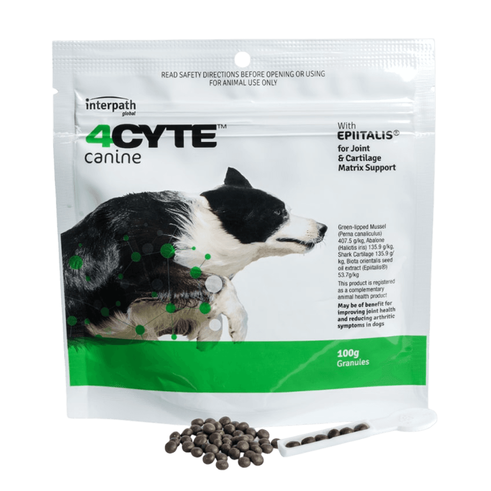 Canine Joint Support Supplement
