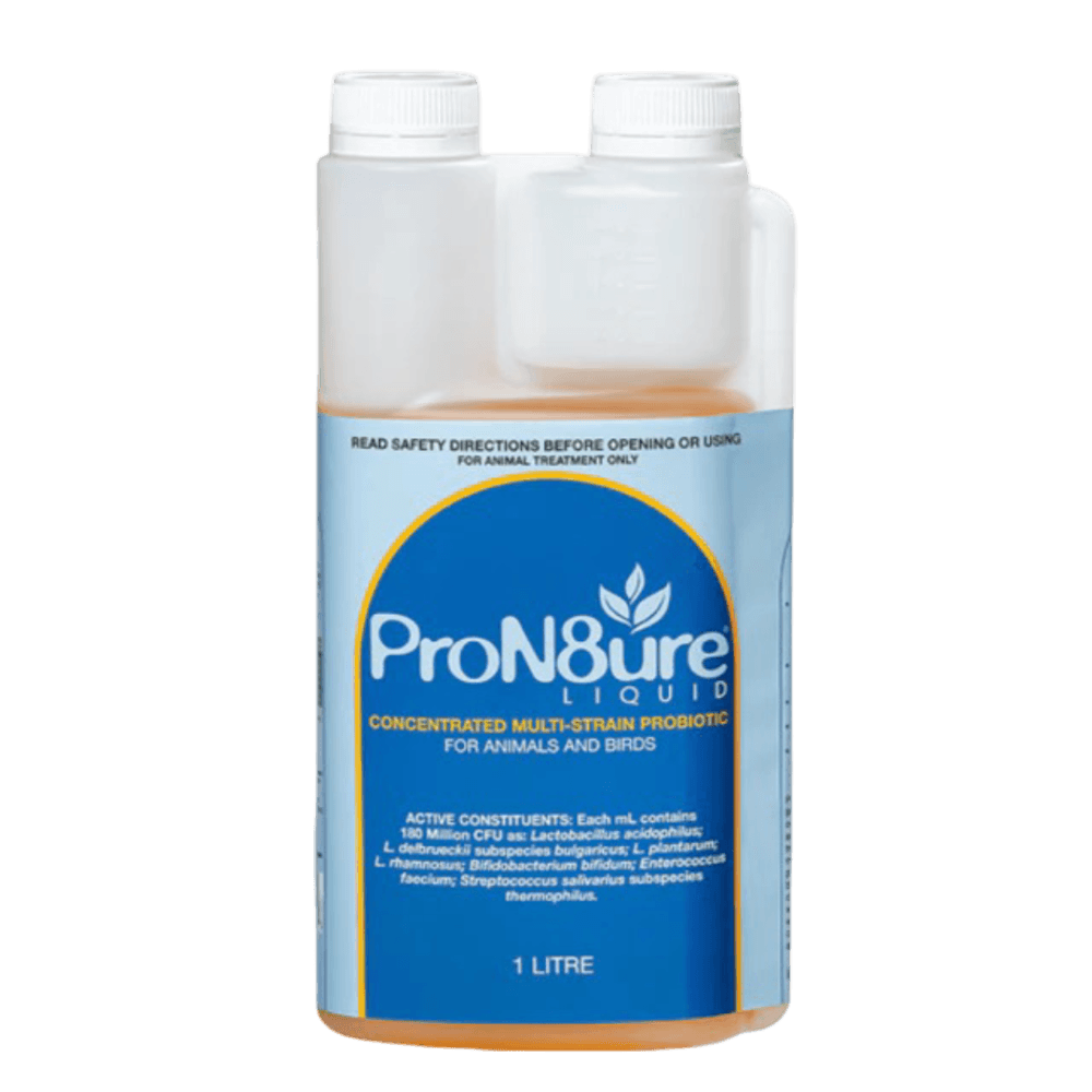 Pron8ure Liquid Multi-Strain Probiotic for Animals & Birds
