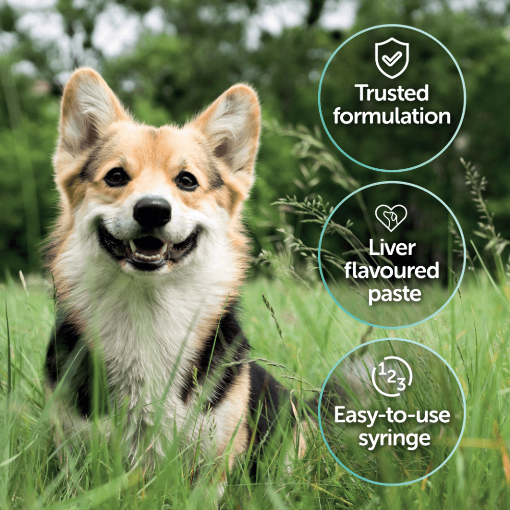 Protexin Pro-Kolin Advanced Probiotics Paste For Dogs