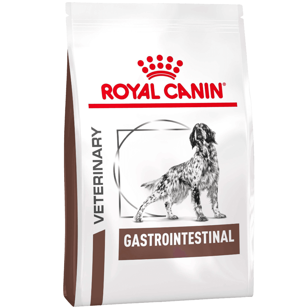 Gastrointestinal Adult Dry Dog Food