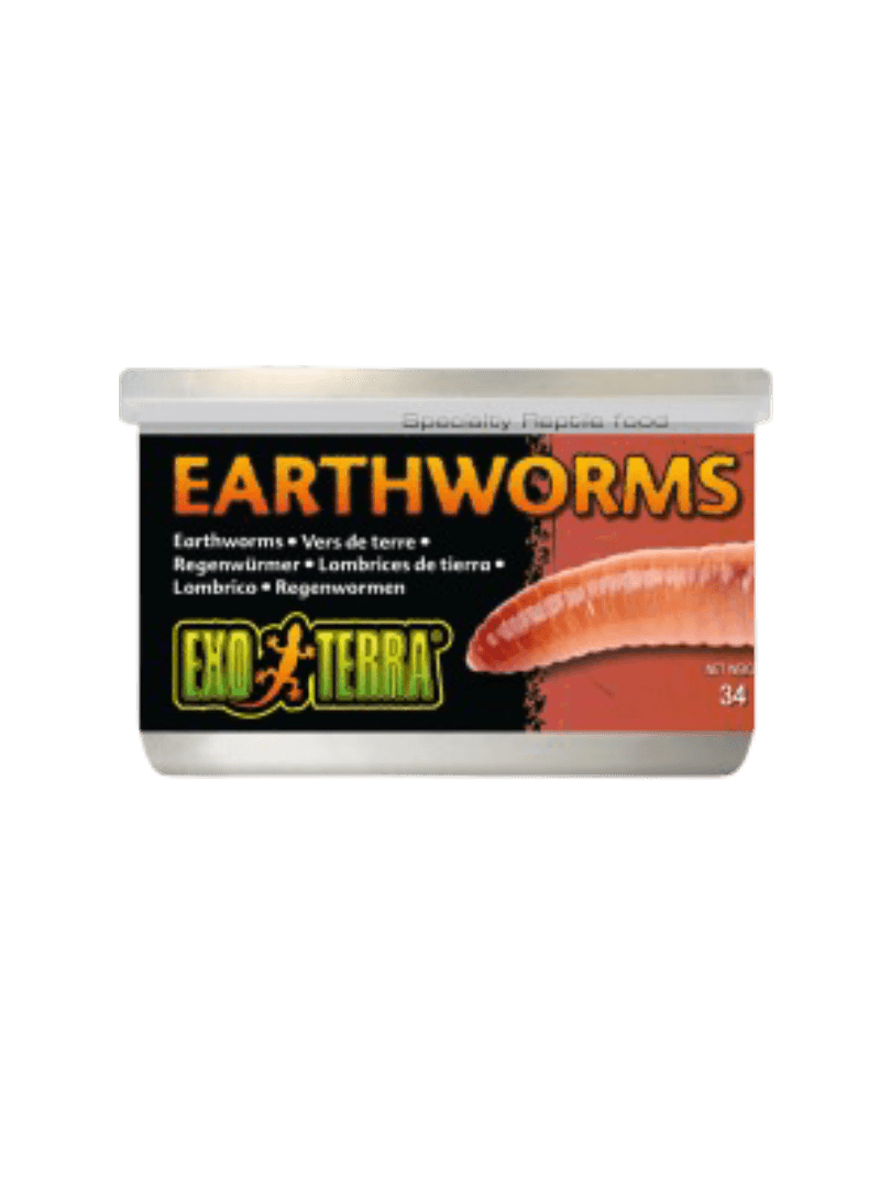 Canned Earthworms Specialty Reptile Food