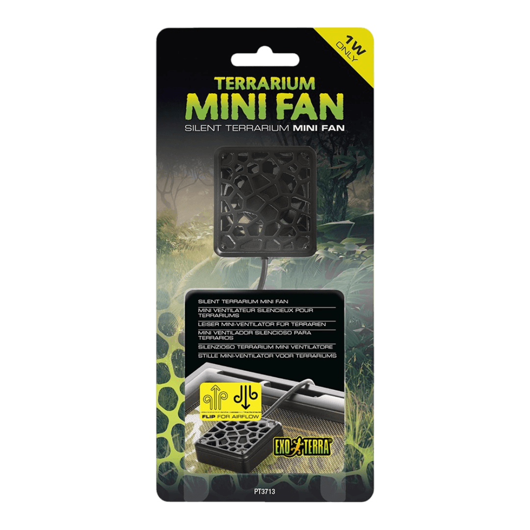 Terrarium Mini Fan Silent