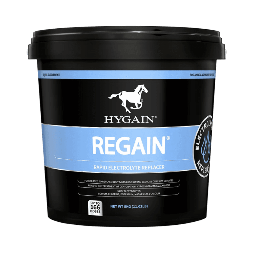 Regain Electrolyte Replacer for Horses