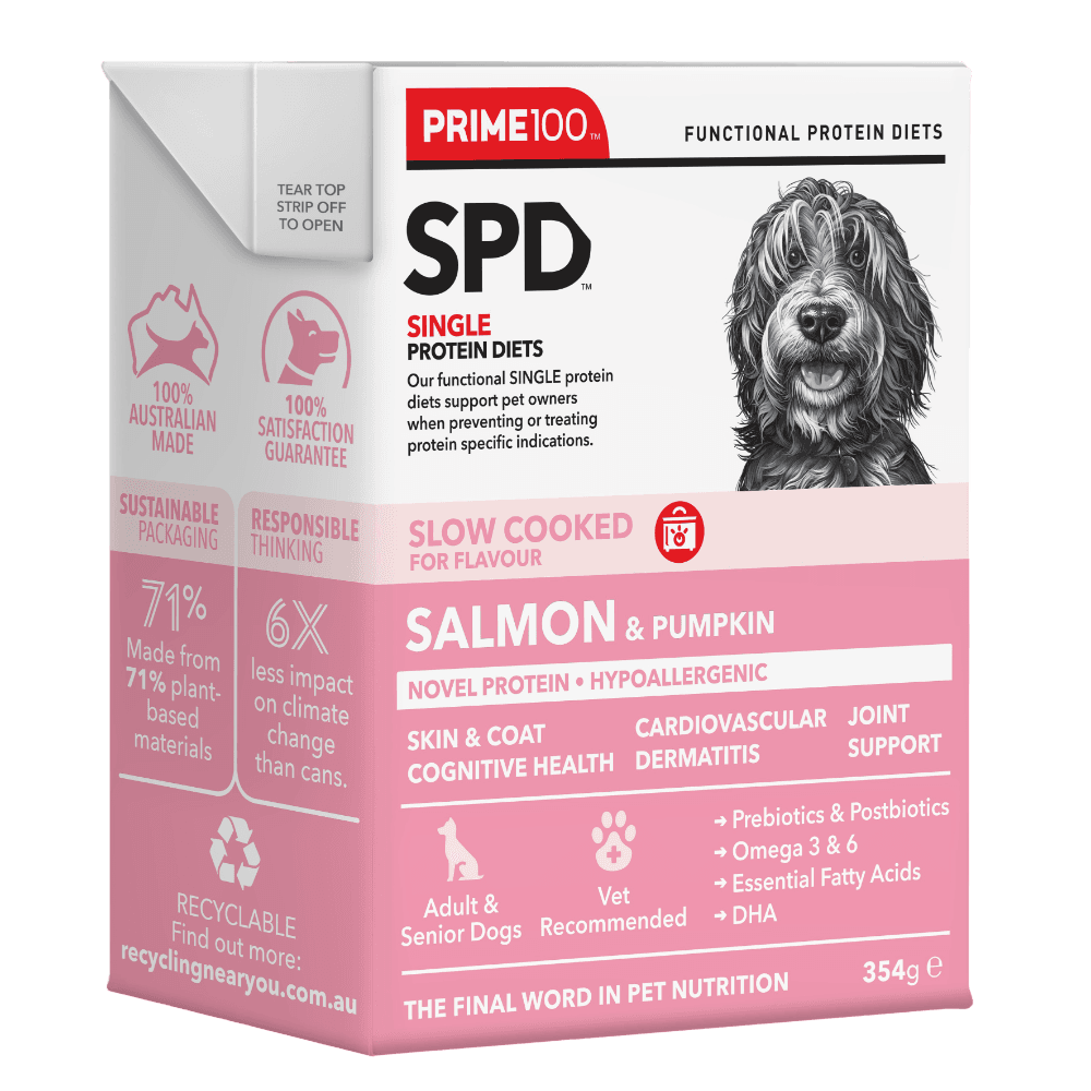 SPD Slow Cooked Salmon & Pumpkin Adult Wet Dog Food