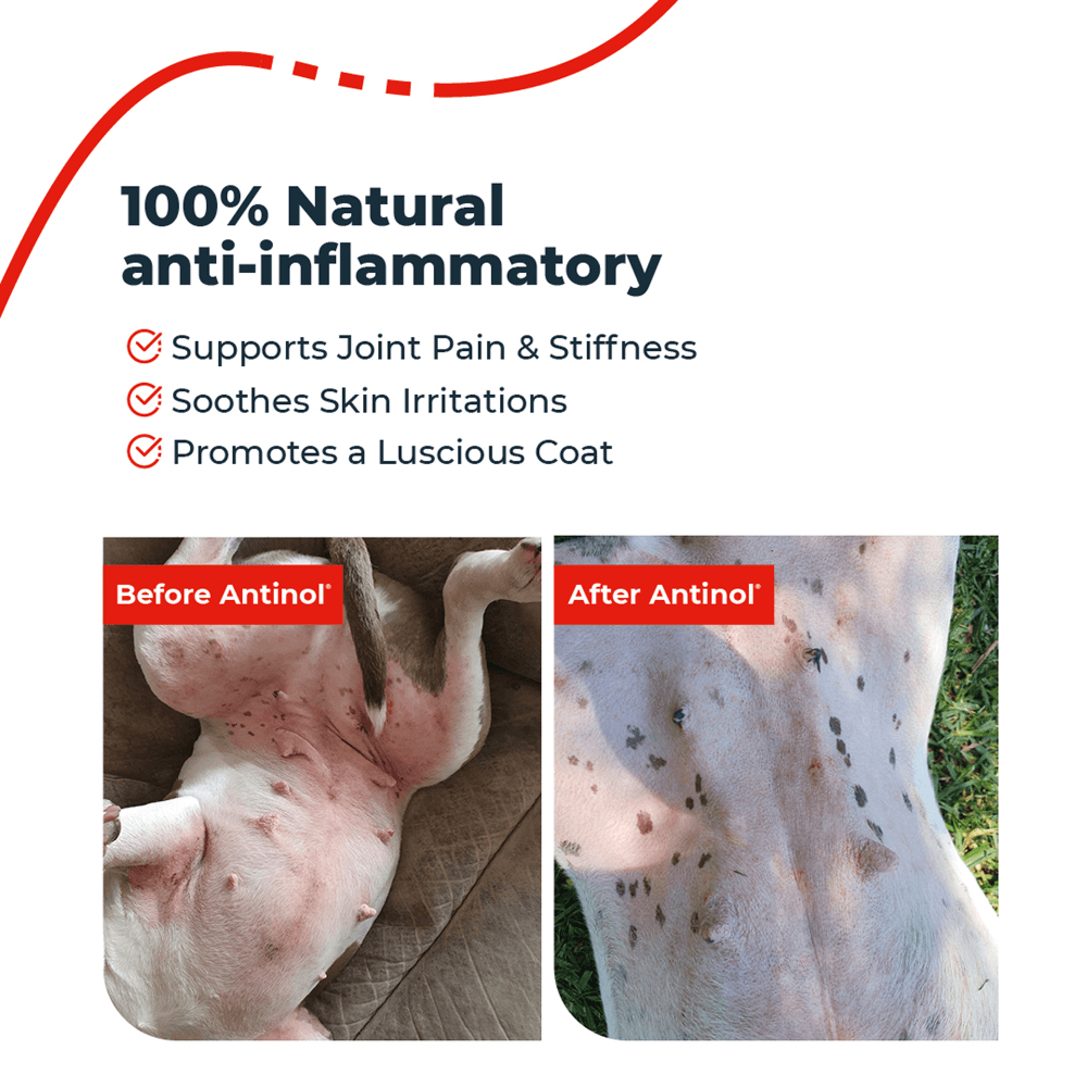 Vetz Petz Antinol Plus Joint Supplement Capsules For Dogs