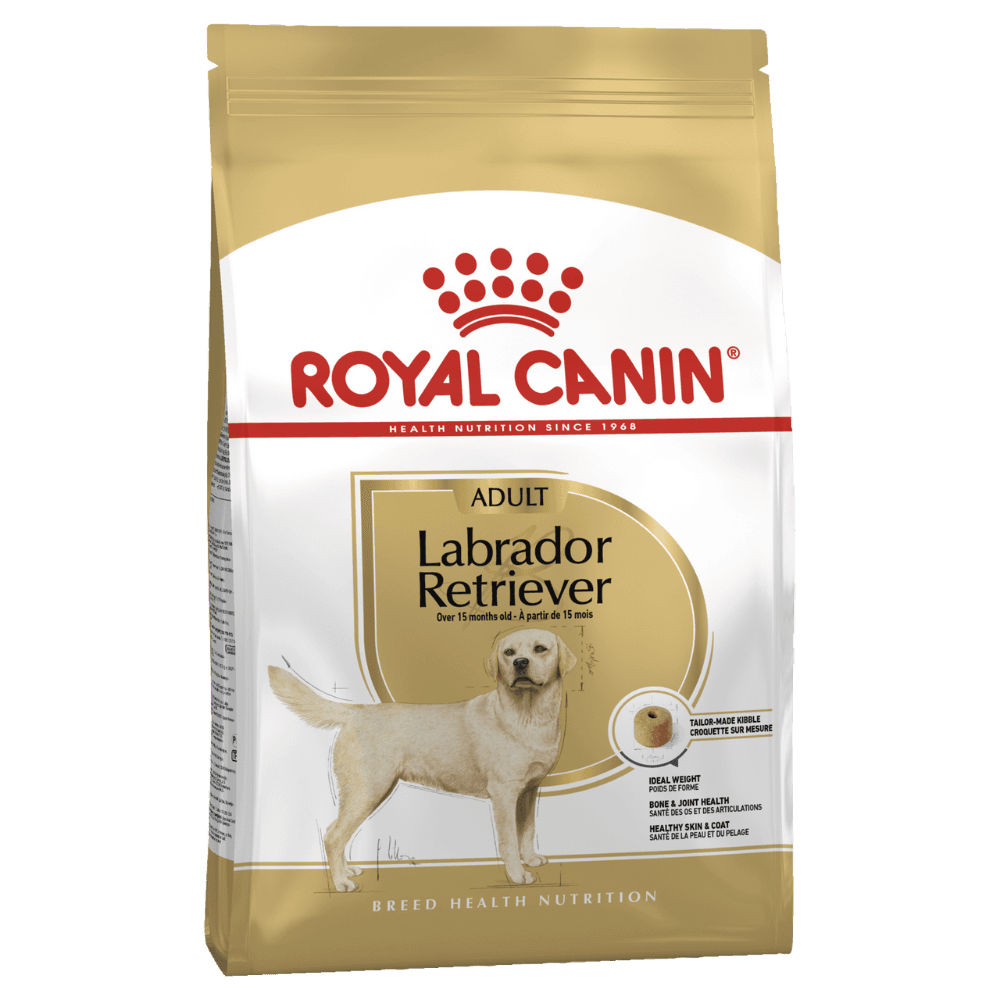 Labrador Retriever Adult Dry Dog Food