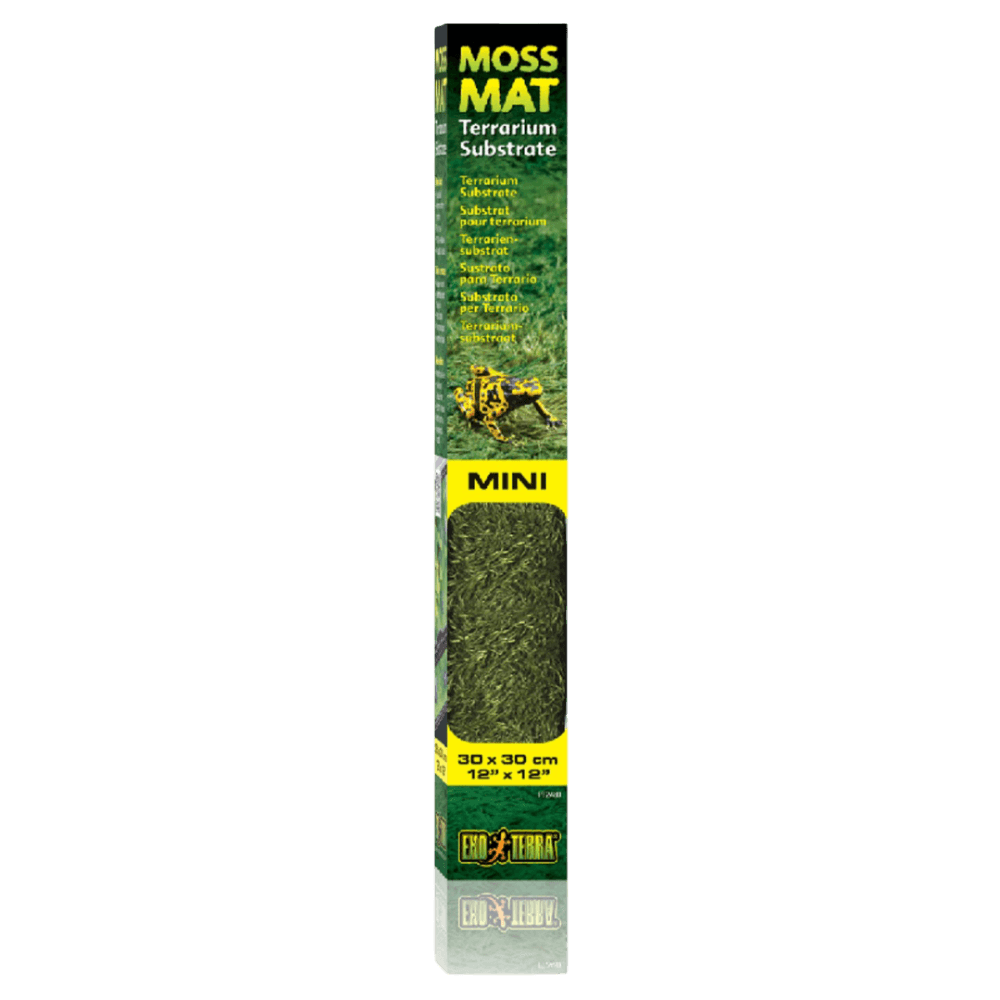 Forest Moss Mat Reptile Substrate