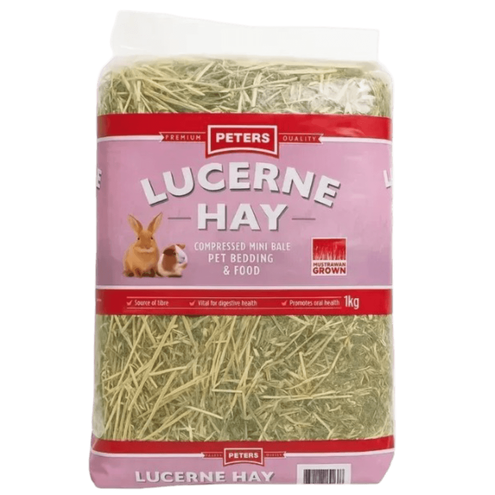 Lucerne Hay Food For Small Pets