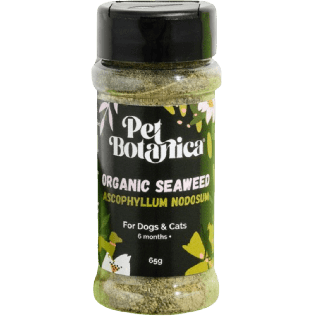 Organic Seaweed Dental Meal Booster For Dogs & Cats