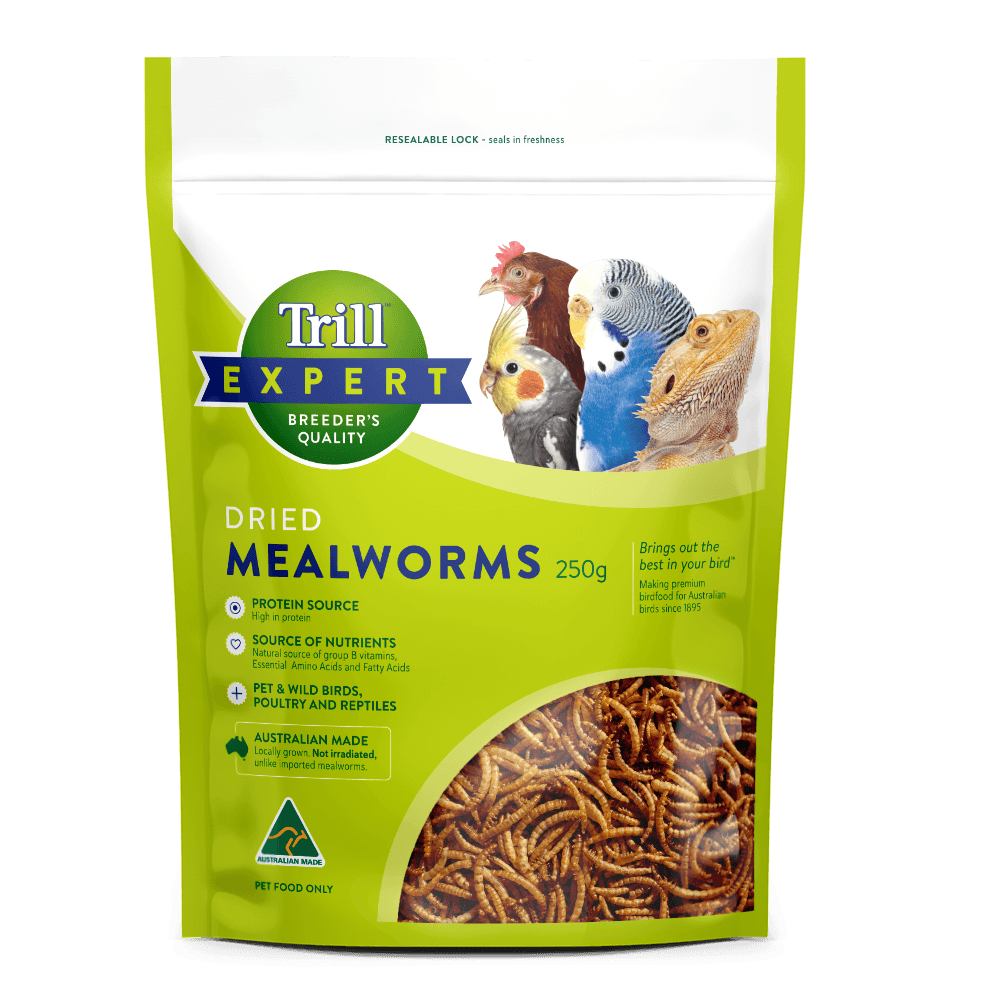 Dried Mealworms Bird Food