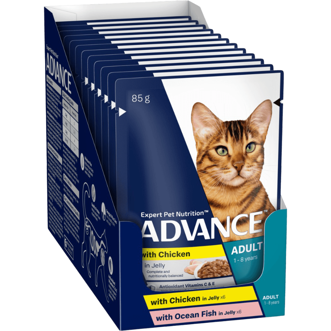 Adult Ocean Fish & Chicken And Turkey In Jelly Wet Cat Food Pouches