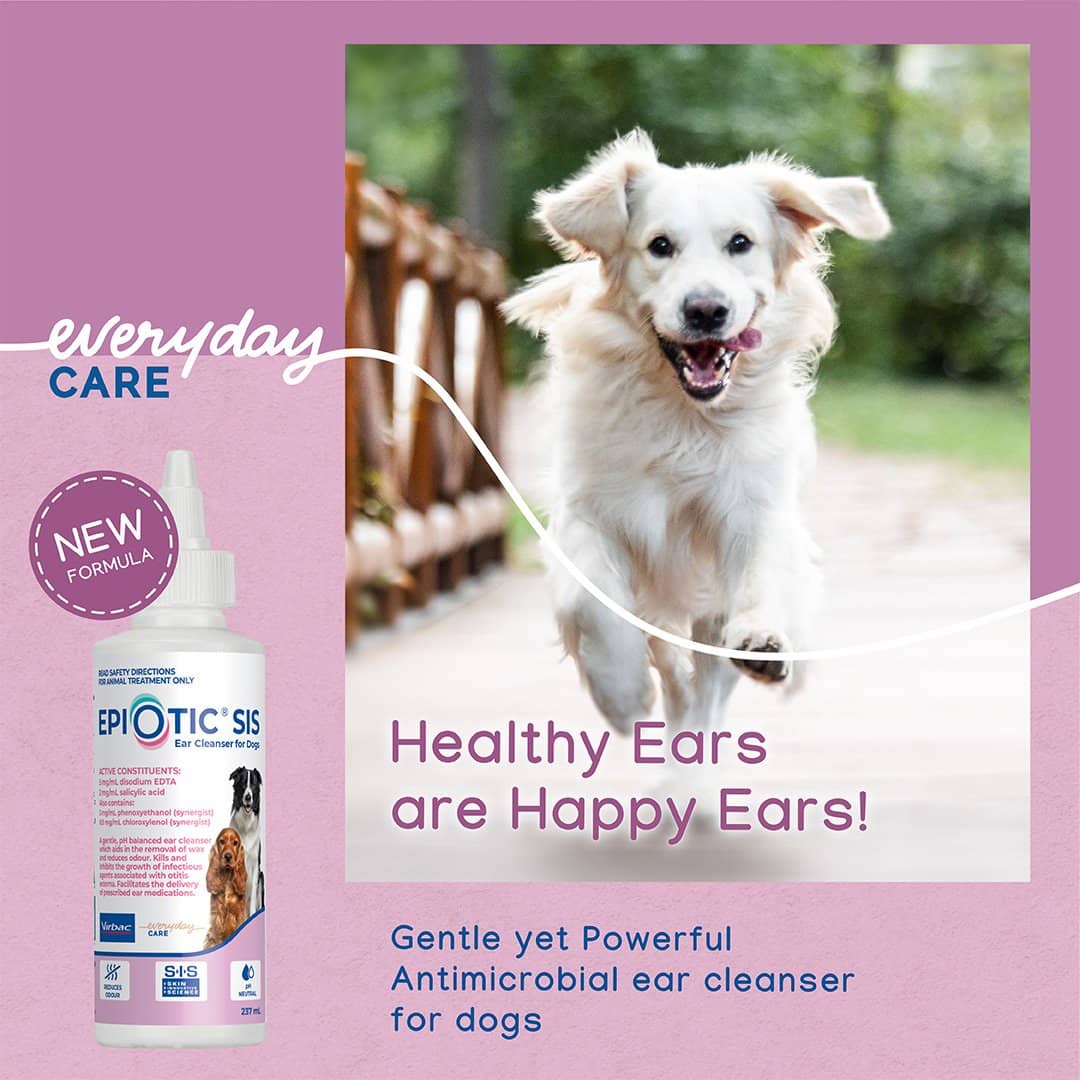 Epiotic Ear Cleanser For Dogs