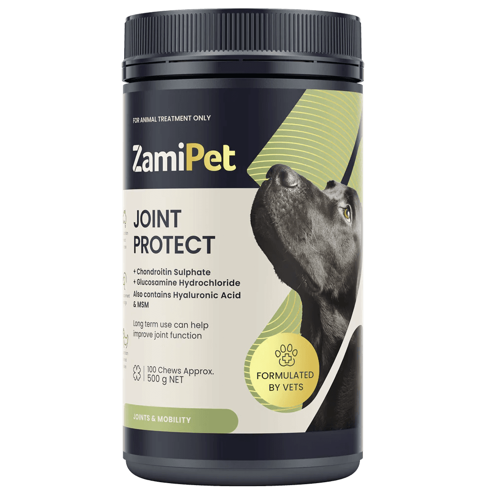 Joint Protect Chews for Dogs