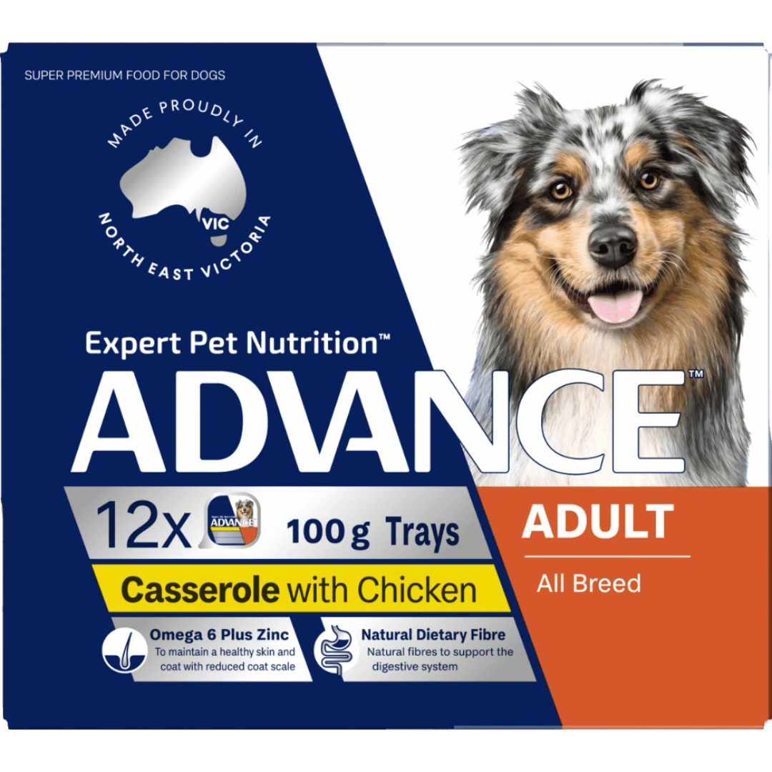 Adult Chicken Casserole Wet Dog Food Trays