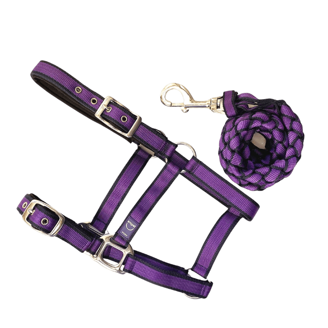 Anipal Comfort Horse Halter And Lead Autumn Lilac