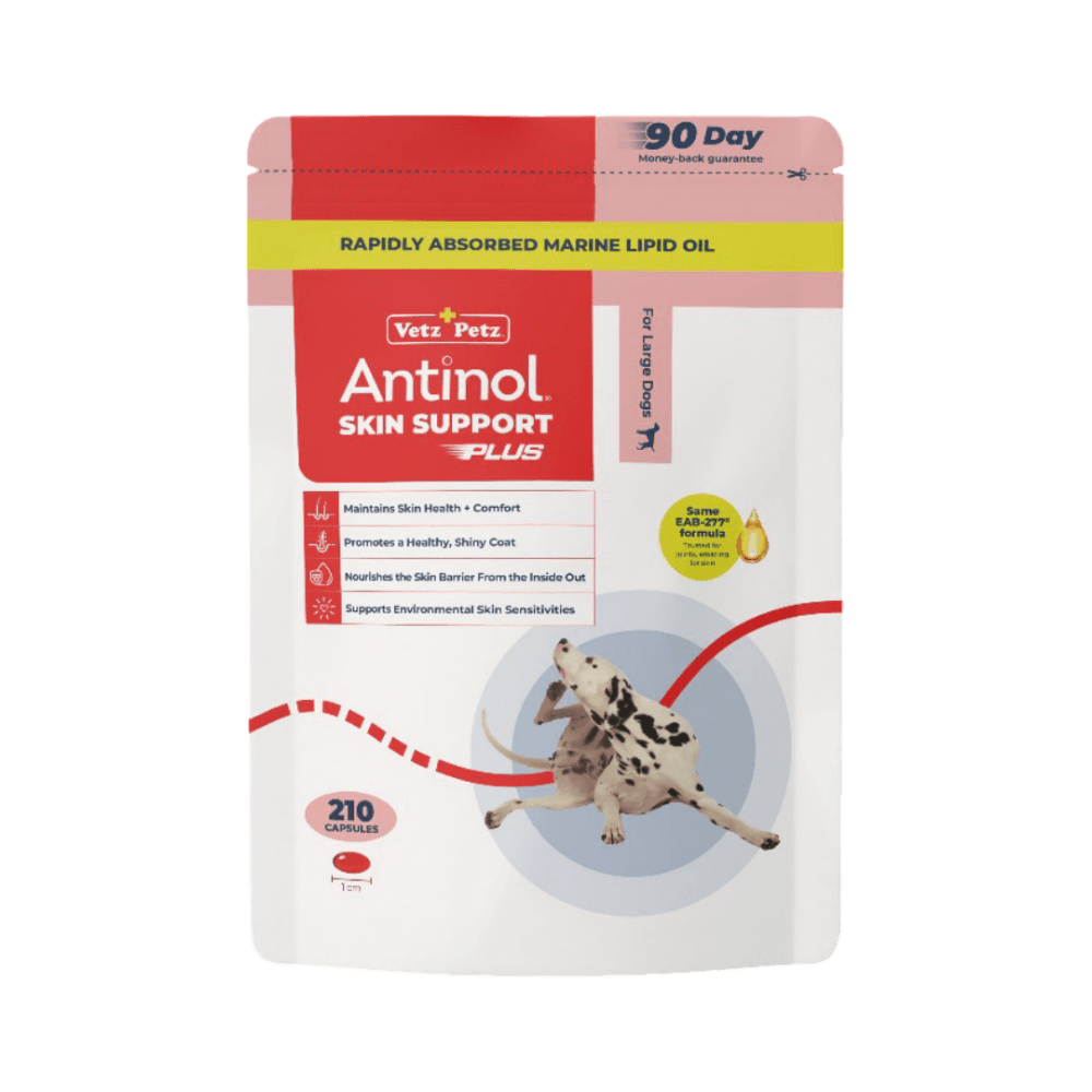 Antinol Plus Skin Support Capsules For Large Breed Dogs