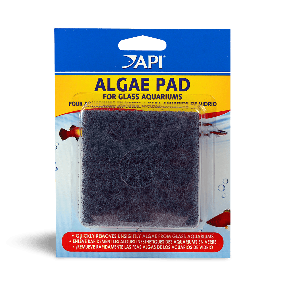 Hand Held Algae Pad For Glass
