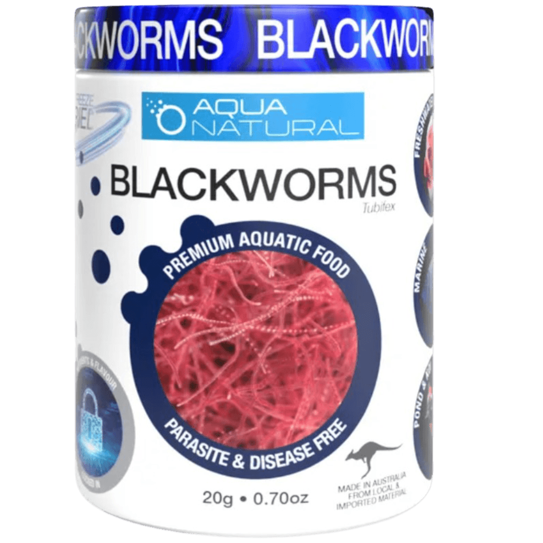 Freeze Dried Blackworms Fish Food