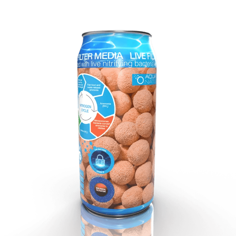 Live Spheres